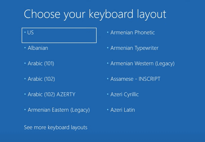 디스크 레이아웃 선택