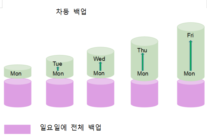 차등 백업