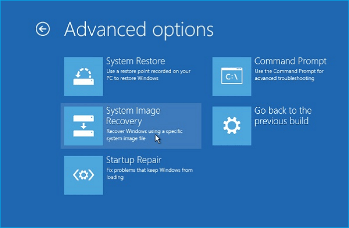마법사를 따라가다