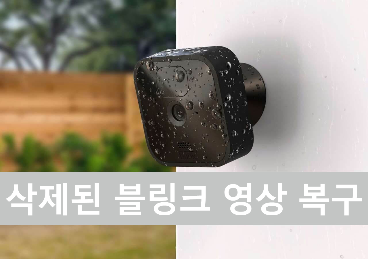 삭제된 Blink 비디오 복구