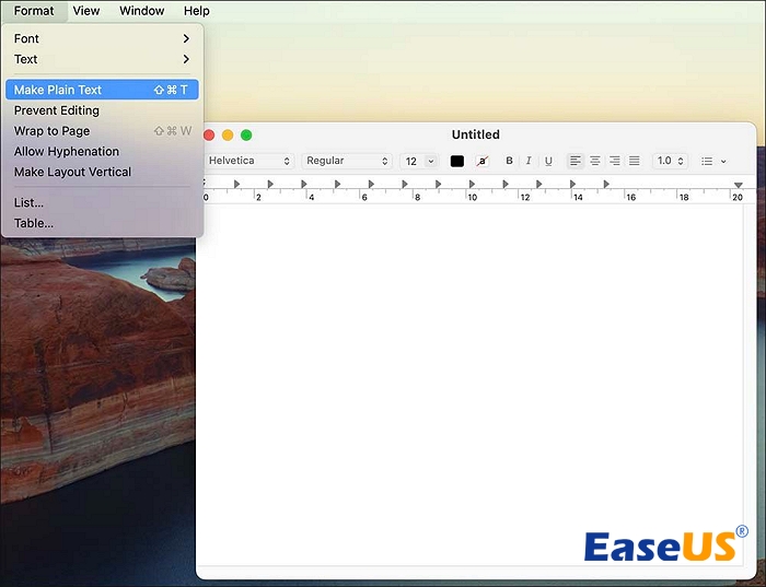 일반 텍스트를 선택하세요
