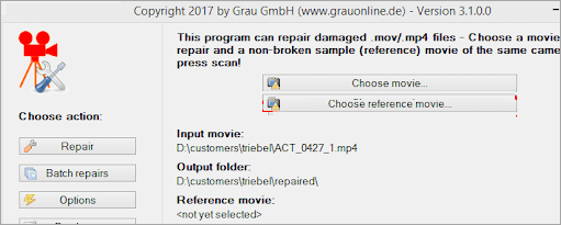 graugamb-video-repair