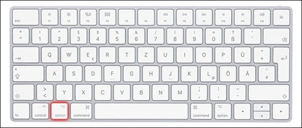 옵션 키를 길게 누르세요