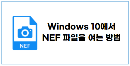 NEF 파일이란 무엇입니까? Windows 10에서 NEF 파일을 여는 방법 - EaseUS
