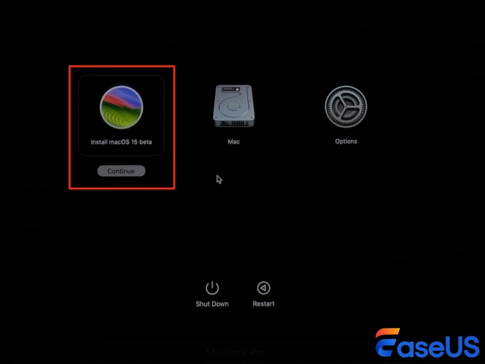 macos 15 베타 설치