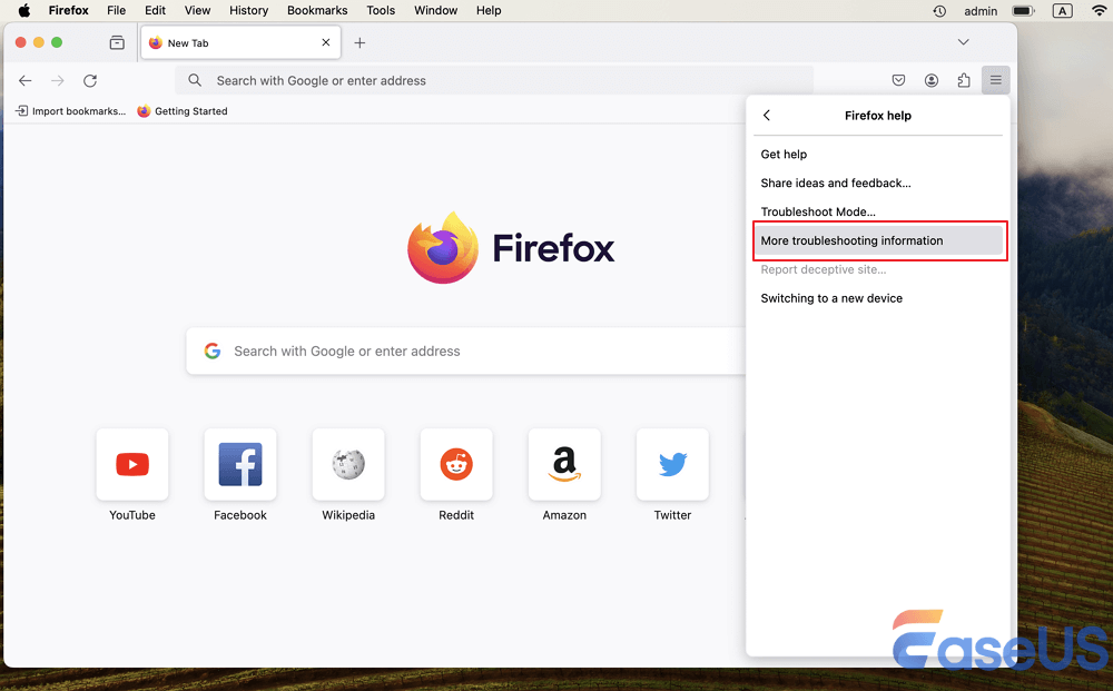 Firefox의 추가 문제 해결 정보