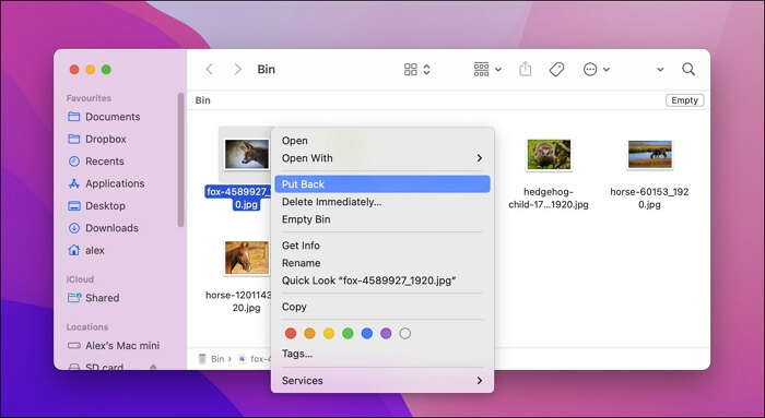 쓰레기에서 불을 다시 넣으세요