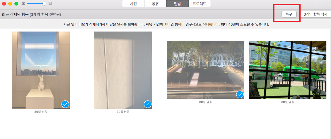 사진에서 최근 삭제된 항목 복구
