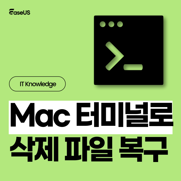 터미널에서 삭제된 Mac 파일 복구
