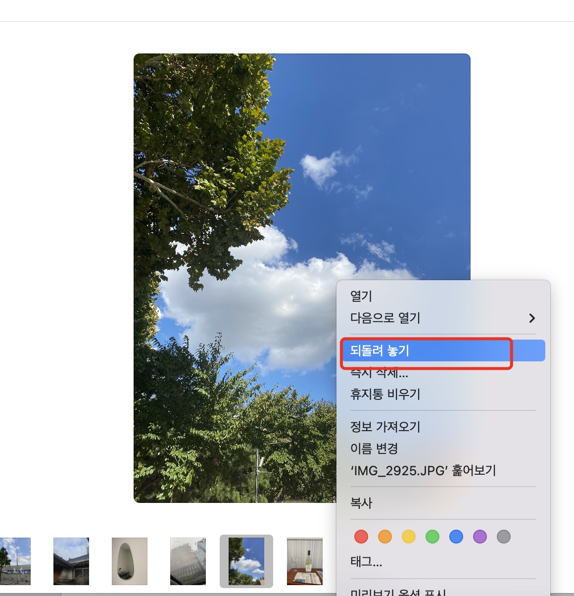 휴지통에서 외장 하드 드라이브의 삭제된 파일 복구