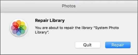 라이브러리 도구 수리