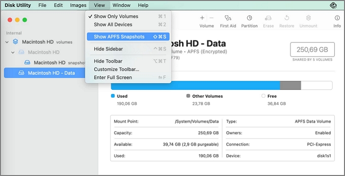 최신 APFS 스냅샷을 선택하세요