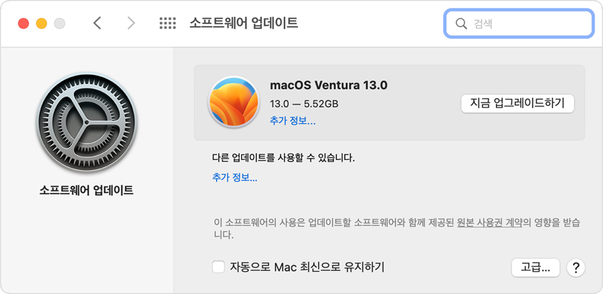 베타 프로필 제거