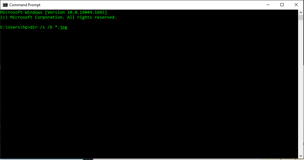 중복 파일 cmd 유형