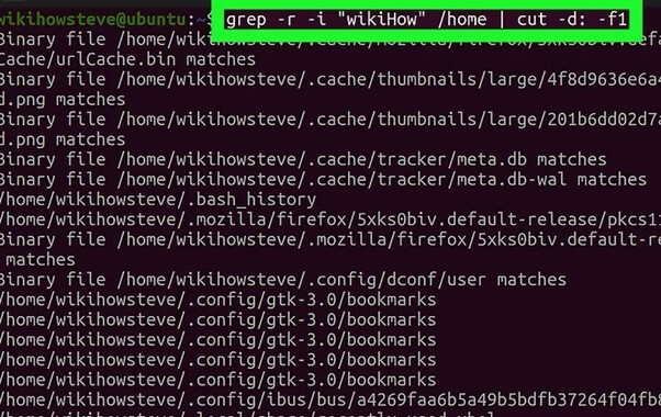 [초보가이드]터미널 및 명령을 사용하여 Linux에서 파일을 찾는 방법 - EaseUS