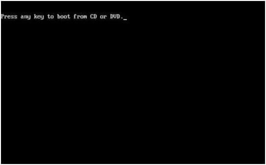 DVD에서 재부팅하고 아무 키나 누르십시오