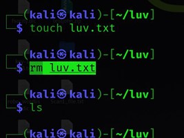 rm 명령을 사용하여 Linux에서 파일 삭제