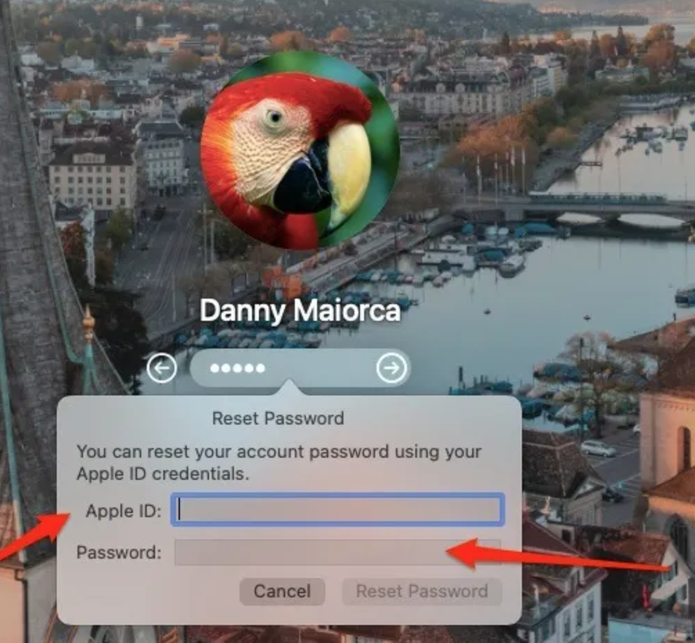 사과 ID 자격 증명을 입력하십시오