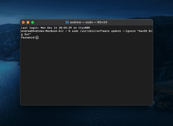 macos 자동 업데이트를 중지하는 방법