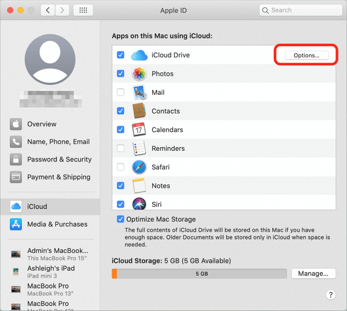 iCloud 옵션