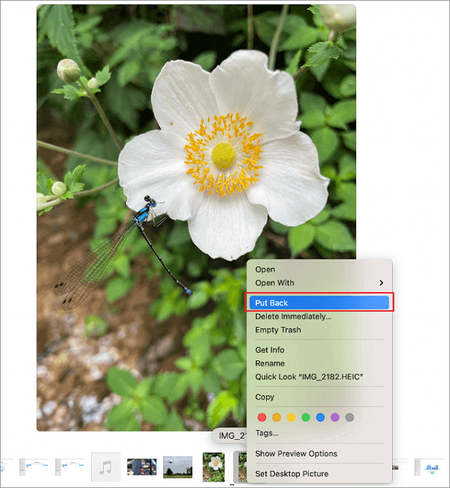 휴지통에서 Mac의 삭제된 비디오 복구