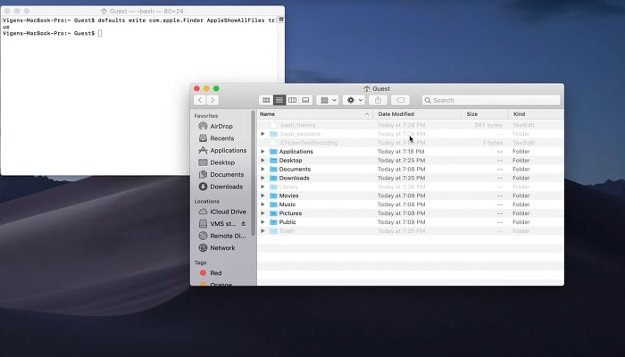 터미널 4단계에서 파일 숨기기 해제