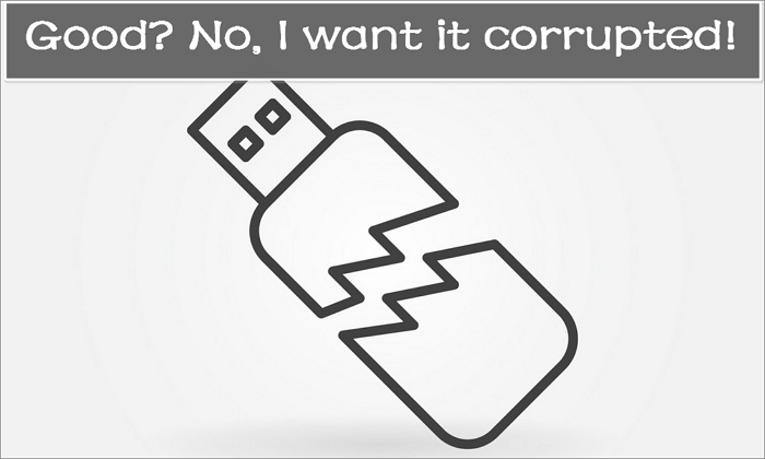 USB 손상된 이미지