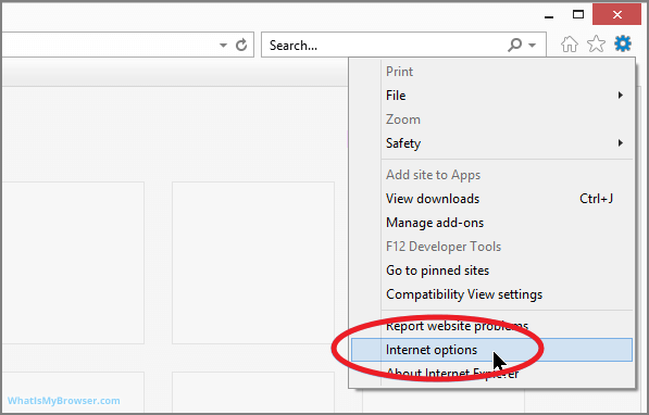 인터넷 익스플로러 1