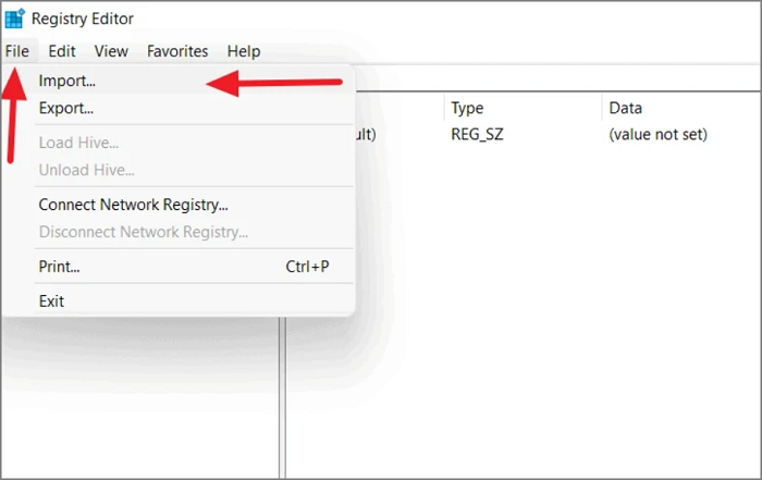 백업 레지스트리 파일 복원 - 가져오기
