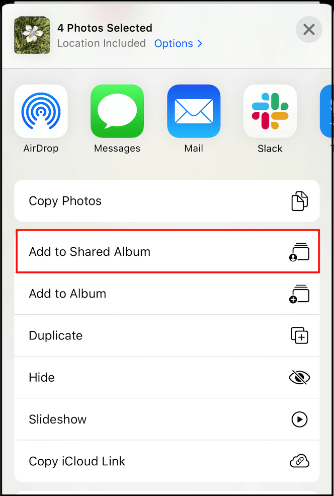 공유 앨범에 사진 공유