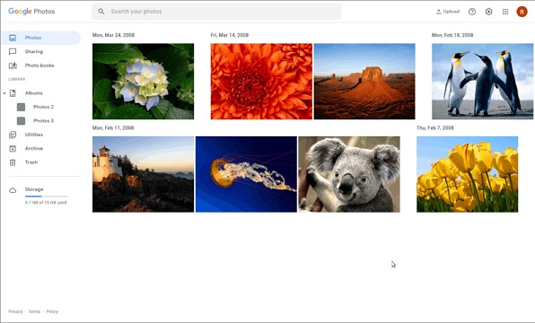 스나이스드 사진