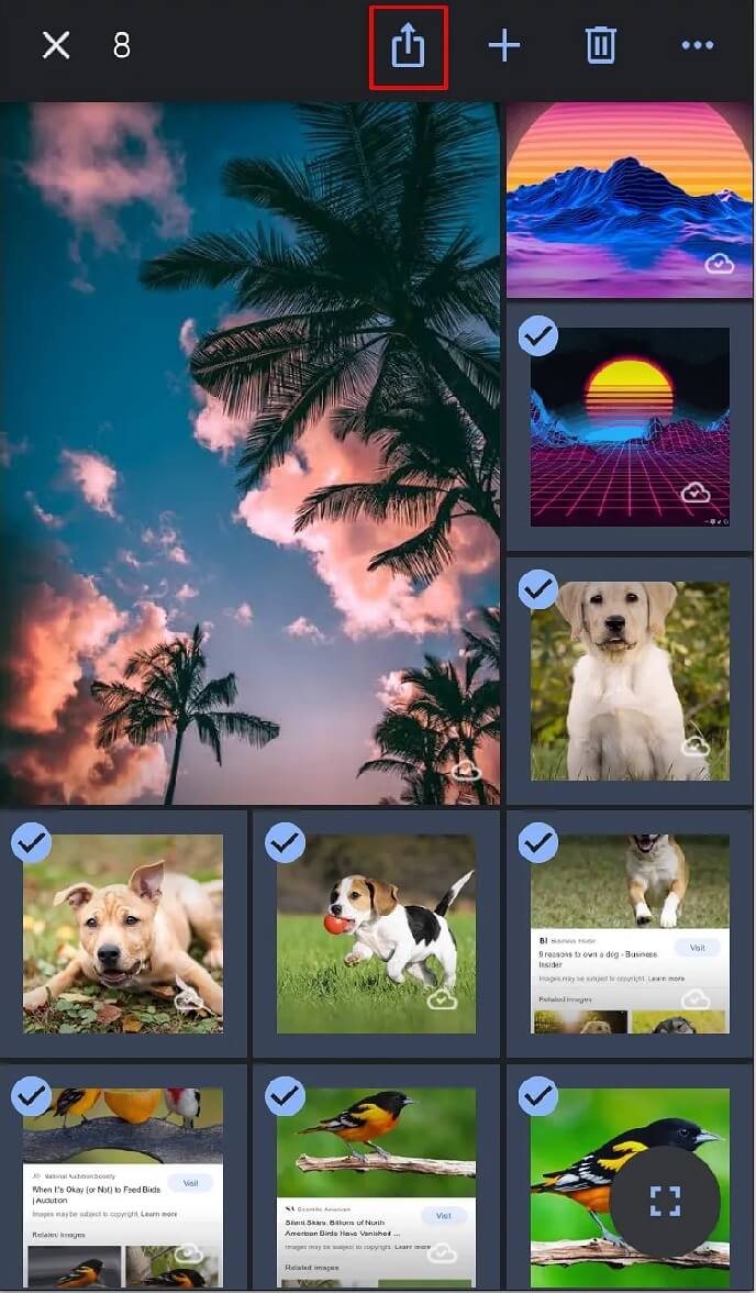 아이폰 단계5에서 구글 포토에서 아이클라우드로 사진 전송