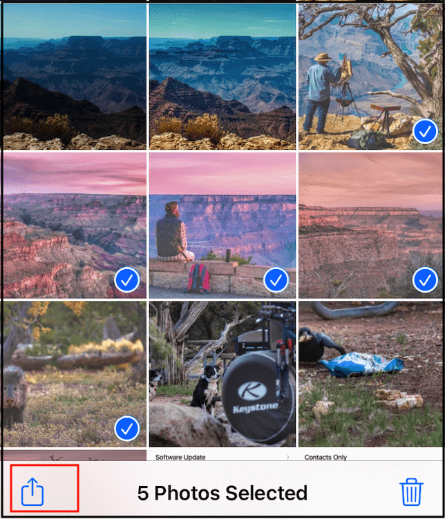 사진을 선택하고 공유