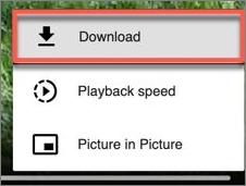 검사 요소를 통해 허가 없이 Google 드라이브에서 비디오 다운로드