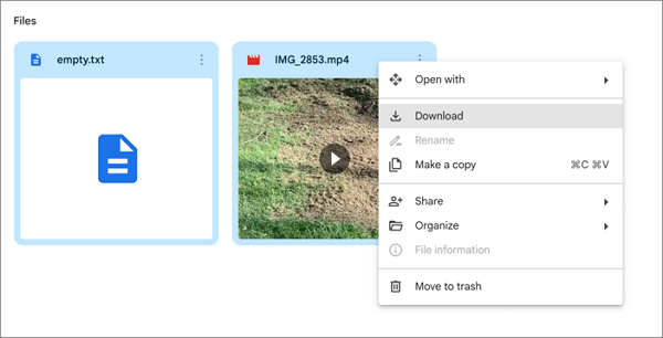 Google 드라이브에서 여러 파일 다운로드