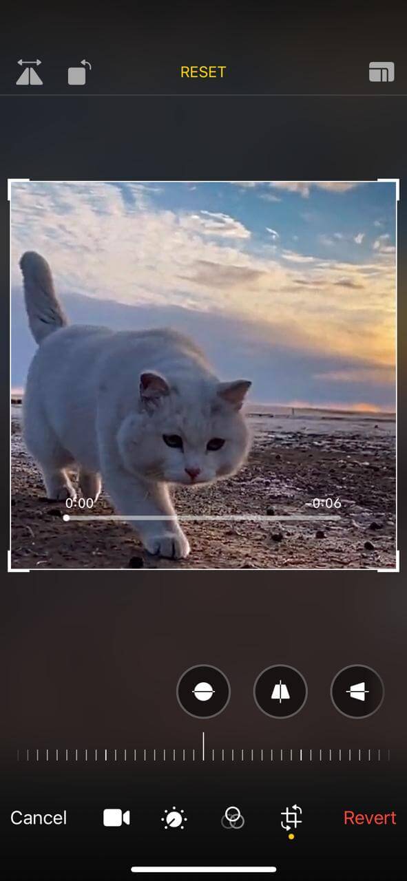 워터마크를 제거하세요