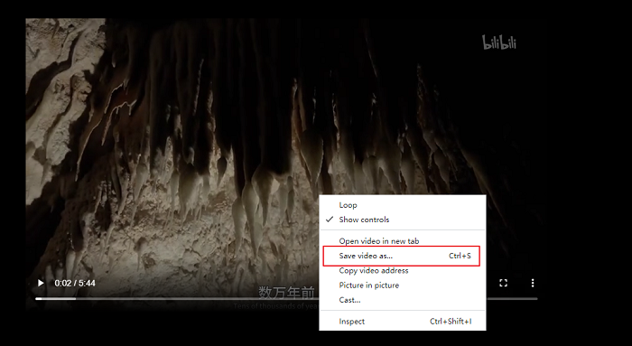 Bilibili 비디오 저장