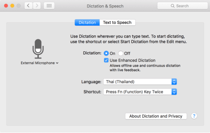 Mac에서 최고의 음성 대 텍스트 소프트웨어