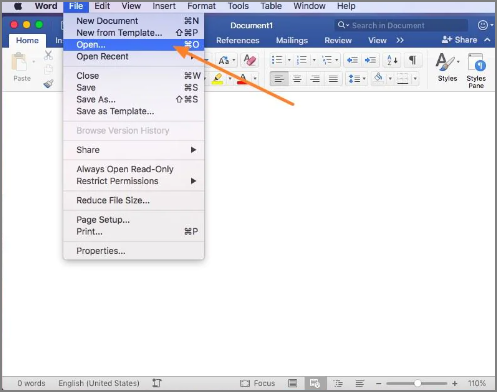 액세스 오픈 옵션