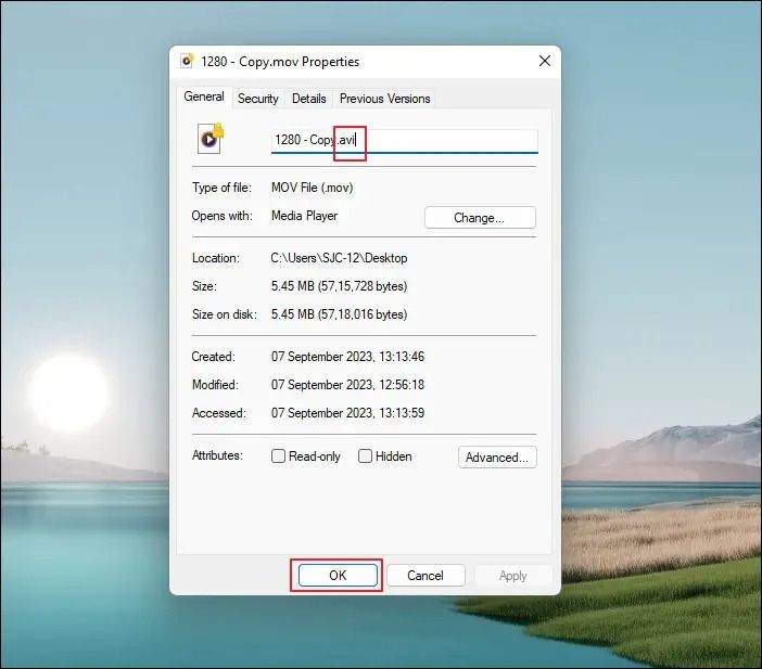 AVI 확장자 변경