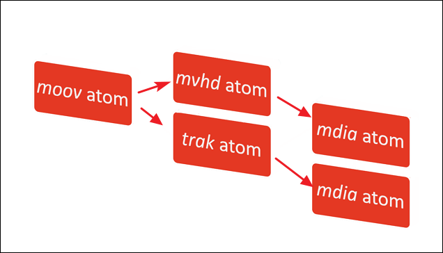 Moov Atom을 찾을 수 없음 오류가 무엇인가요?