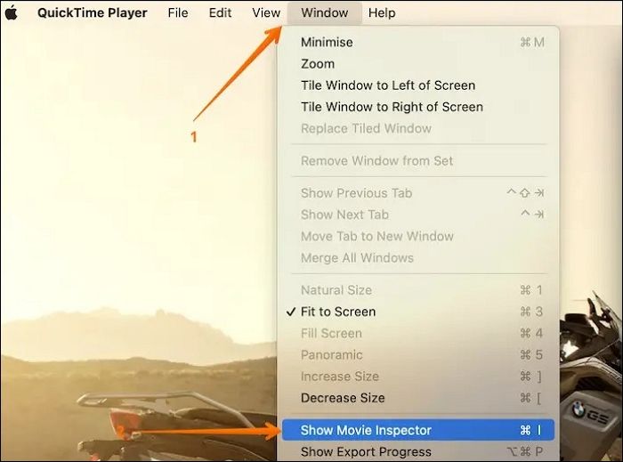 오픈 쇼 무비 인스펙터