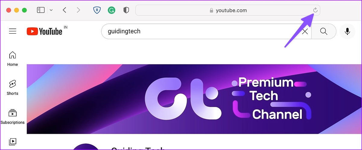 이 사파리를 다시 로드하세요