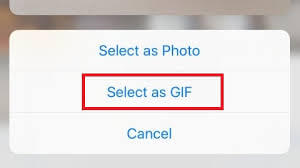 WhatsApp에서 라이브 사진 보내기