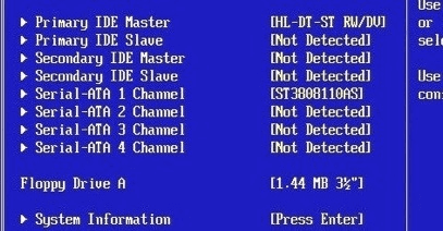하드 드라이브 인 BIOS 확인