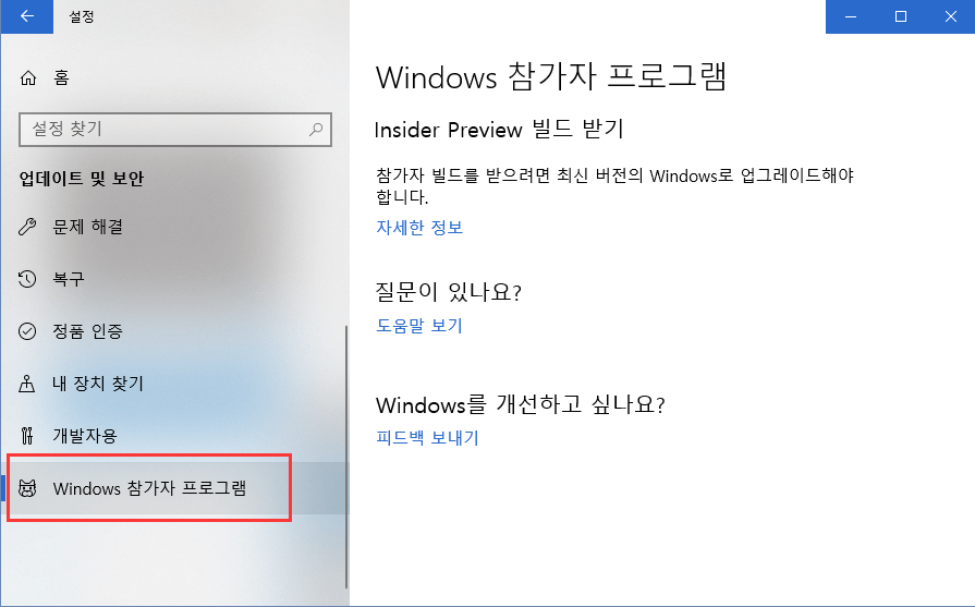 개발자 채널 Windows 11