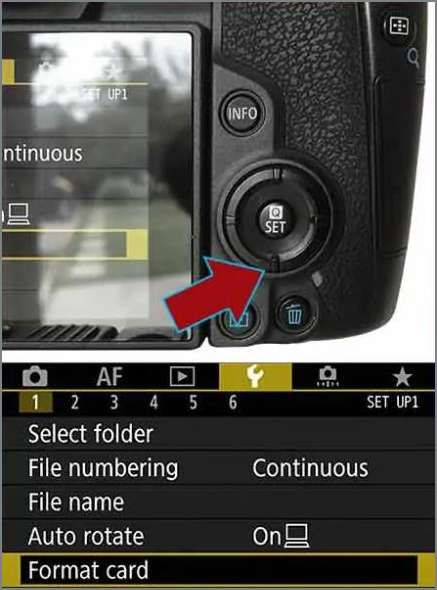 개방형 형식 옵션
