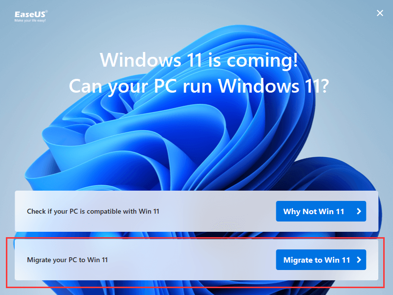 Windows 11 업데이트 확인3