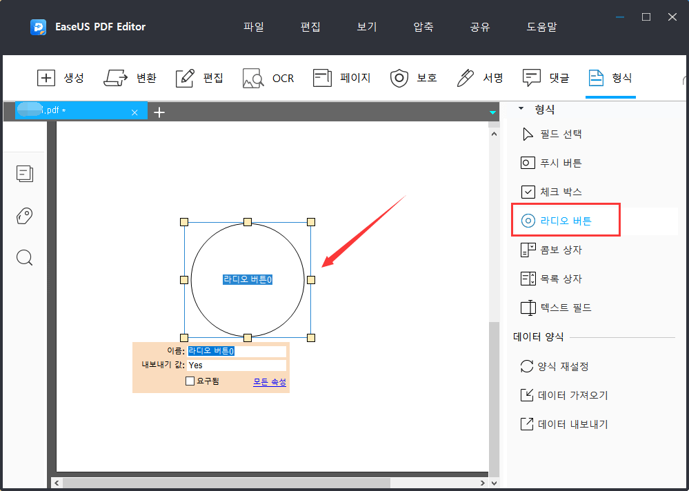 라디오 버튼 추가