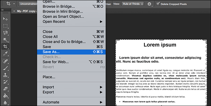 포토샵을 사용하여 pdf를 jpg로 변환